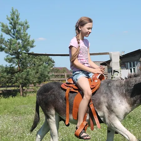 Guest house Usadba Dary Velesa Minsk